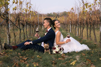 Fotógrafo de bodas Ivana Habrová. Foto del 28.03.2019