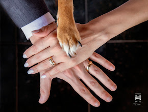 Fotógrafo de casamento Marcos Malechi. Foto de 14.12.2020