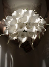 Wedding photographer Gabriel Bravo. Photo of 16.05.2025