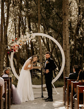 Wedding photographer Talita Luff. Photo of 10.06.2024