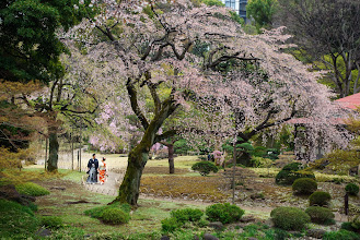 Wedding photographer Tsutomu Fujita. Photo of 01.06.2023