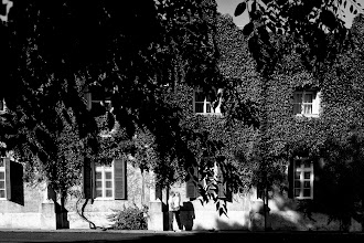 Wedding photographer József Márk Losonczi. Photo of 09.07.2025