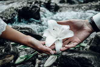 Wedding photographer Elena Shimankina. Photo of 27.05.2020