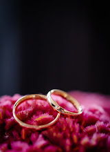 婚姻写真家 Dasha Antipina. 12.12.2023 の写真