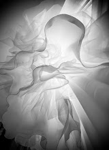 Fotógrafo de bodas Marjorie Hodiesne. Foto del 03.05.2019