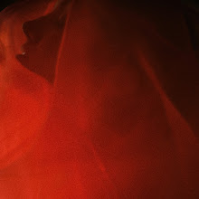 婚姻写真家 Denis Persenen. 11.06.2025 の写真