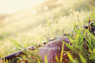 Fotógrafo de casamento Jessi Hesami. Foto de 29.12.2019