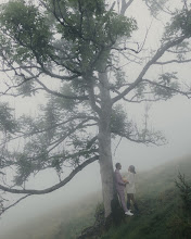 婚礼摄影师Alex Halawedd. 07.08.2025的图片