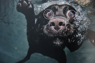 Düğün fotoğrafçısı Vladimir Makeev. Fotoğraf 08.08.2022 tarihinde