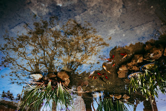 Wedding photographer Pierpaolo Cialini. Photo of 29.04.2025