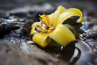 Wedding photographer Aleksey Sidelnikov. Photo of 27.06.2019