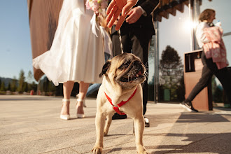 Photographe de mariage Evgeniy Tischenko. Photo du 08.03.2024