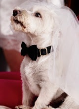 Photographe de mariage Radosław Salamucha. Photo du 07.09.2025