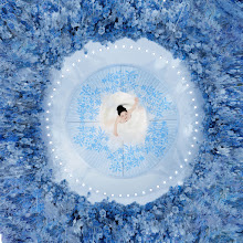 Wedding photographer Lei Liu. Photo of 03.08.2025