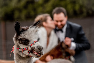 Wedding photographer Piotr Potapowicz. Photo of 04.02.2021