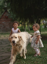 Wedding photographer Zhenya Pashkina. Photo of 27.10.2024