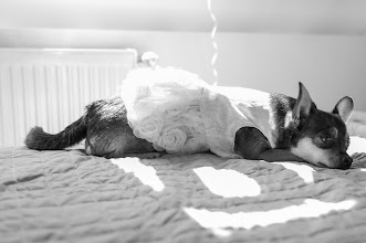 婚姻写真家 Liviu Bratosin. 17.09.2025 の写真