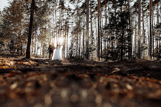 Düğün fotoğrafçısı Mikhail Belkin. Fotoğraf 05.11.2020 tarihinde