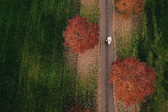 Wedding photographer Wesley Webster. Photo of 20.10.2025