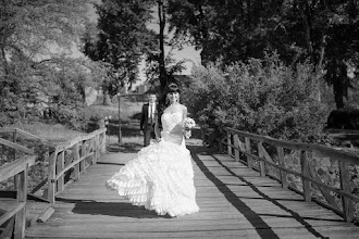 Wedding photographer Aleksandr Gorbach. Photo of 01.11.2013