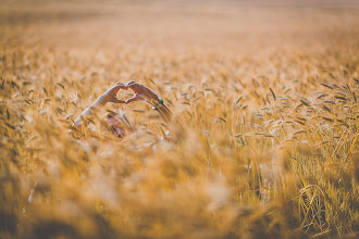 Fotografo di matrimoni Dawid Majewski. Foto del 24.02.2020