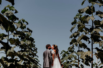 Wedding photographer Studio Frac. Photo of 28.11.2019
