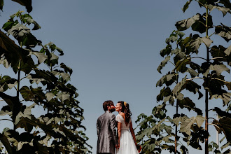 Fotografo di matrimoni Studio Frac. Foto del 28.11.2019